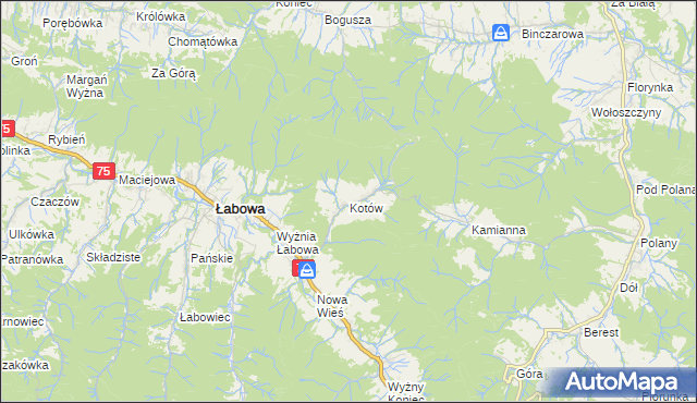 mapa Kotów gmina Łabowa, Kotów gmina Łabowa na mapie Targeo