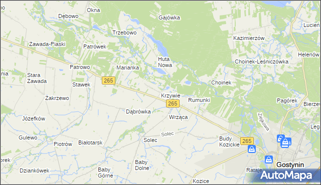 mapa Krzywie gmina Gostynin, Krzywie gmina Gostynin na mapie Targeo