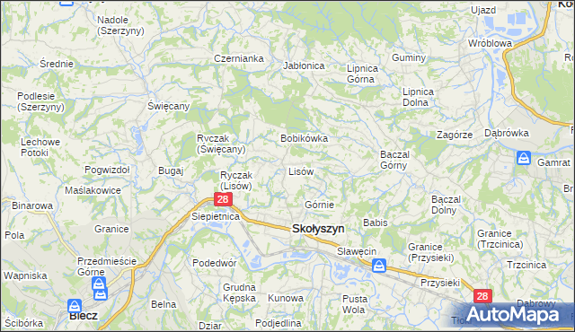 mapa Lisów gmina Skołyszyn, Lisów gmina Skołyszyn na mapie Targeo