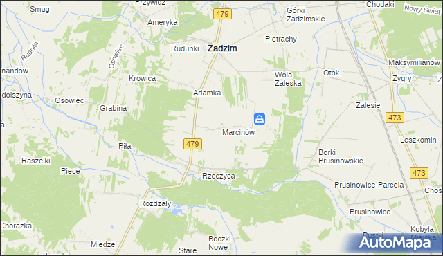 mapa Marcinów gmina Zadzim, Marcinów gmina Zadzim na mapie Targeo