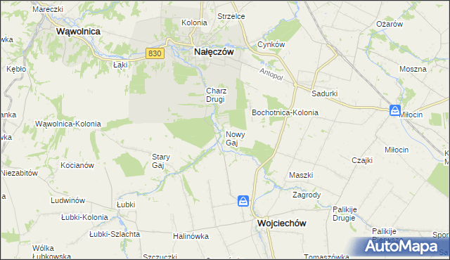 mapa Nowy Gaj gmina Wojciechów, Nowy Gaj gmina Wojciechów na mapie Targeo