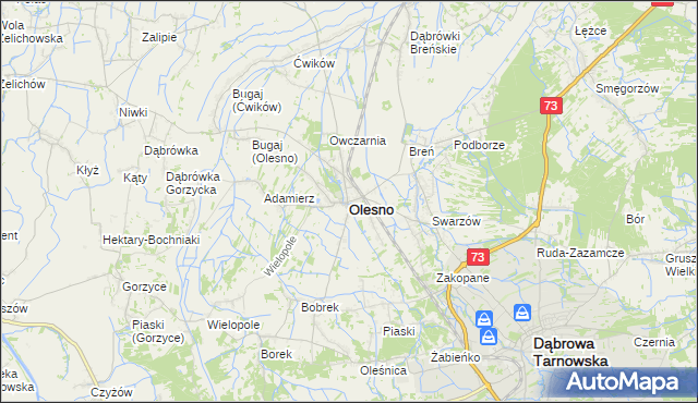 mapa Olesno powiat dąbrowski, Olesno powiat dąbrowski na mapie Targeo