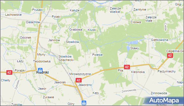 mapa Polesie gmina Rudniki, Polesie gmina Rudniki na mapie Targeo