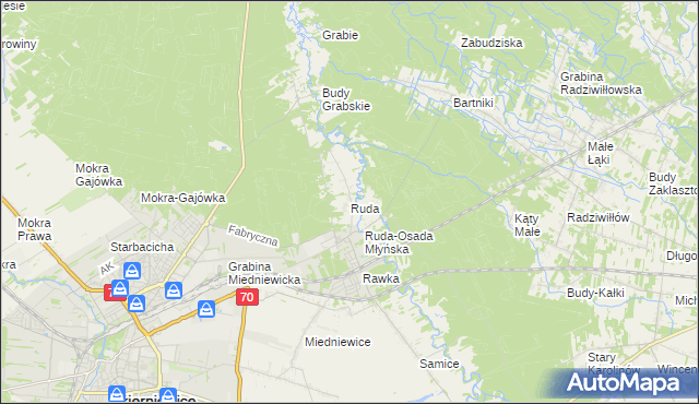 mapa Ruda gmina Skierniewice, Ruda gmina Skierniewice na mapie Targeo