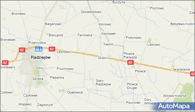 mapa Skibin gmina Radziejów, Skibin gmina Radziejów na mapie Targeo