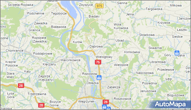 mapa Wielogłowy gmina Chełmiec, Wielogłowy gmina Chełmiec na mapie Targeo