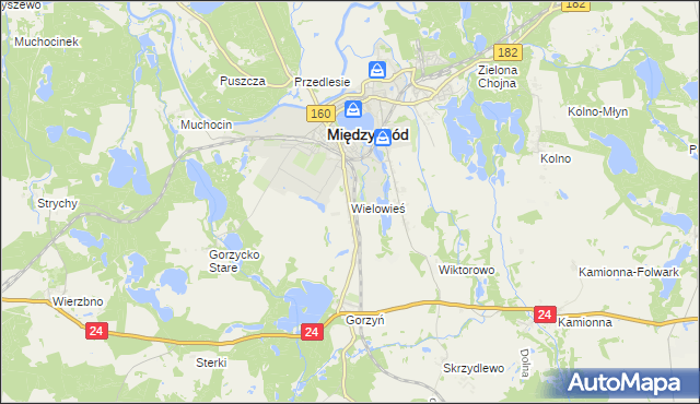 mapa Wielowieś gmina Międzychód, Wielowieś gmina Międzychód na mapie Targeo