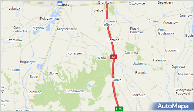 mapa Witów gmina Piątek, Witów gmina Piątek na mapie Targeo