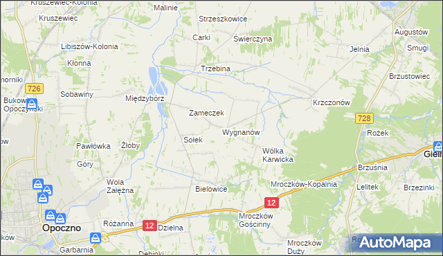 mapa Wygnanów gmina Opoczno, Wygnanów gmina Opoczno na mapie Targeo