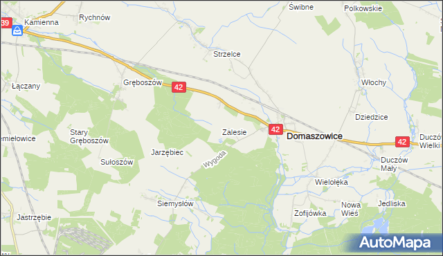 mapa Zalesie gmina Domaszowice, Zalesie gmina Domaszowice na mapie Targeo