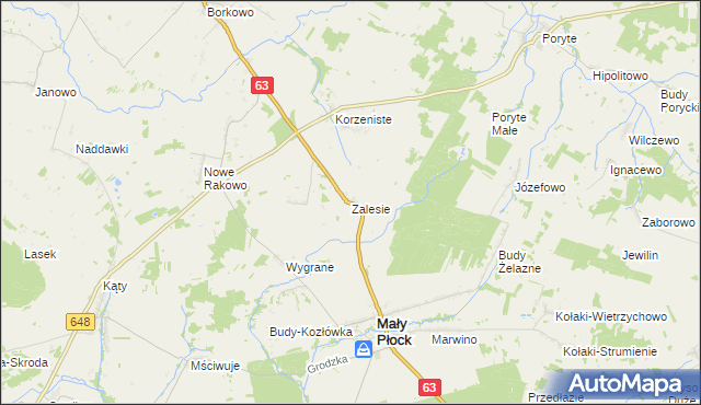 mapa Zalesie gmina Mały Płock, Zalesie gmina Mały Płock na mapie Targeo