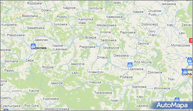 mapa Żmiąca, Żmiąca na mapie Targeo