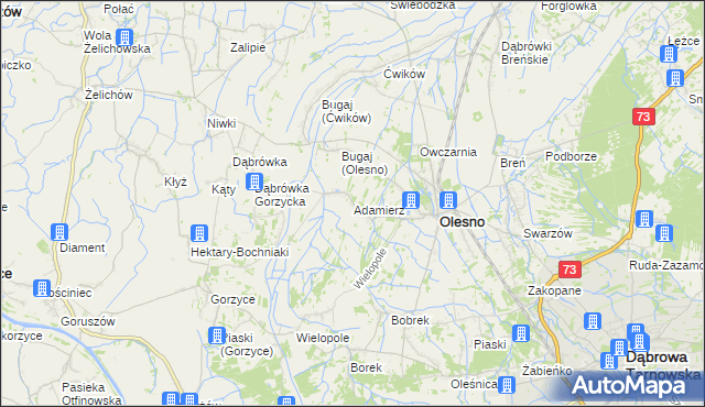 mapa Adamierz gmina Olesno, Adamierz gmina Olesno na mapie Targeo