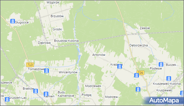 mapa Antoniów gmina Opoczno, Antoniów gmina Opoczno na mapie Targeo