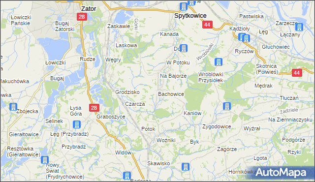 mapa Bachowice, Bachowice na mapie Targeo