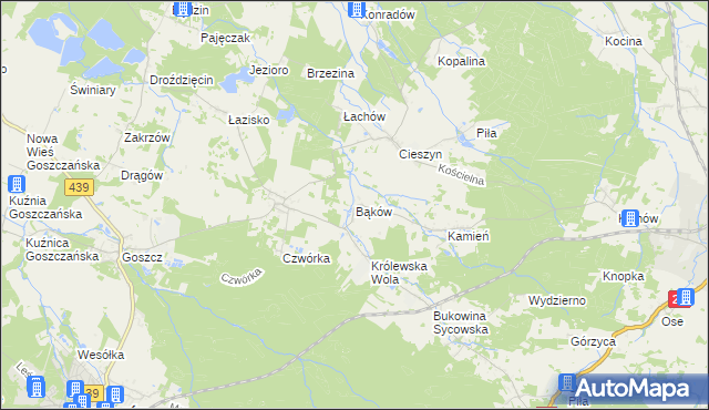 mapa Bąków gmina Międzybórz, Bąków gmina Międzybórz na mapie Targeo