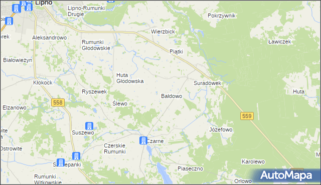 mapa Bałdowo gmina Wielgie, Bałdowo gmina Wielgie na mapie Targeo