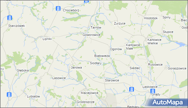 mapa Białowieża gmina Kamiennik, Białowieża gmina Kamiennik na mapie Targeo