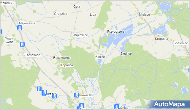 mapa Bielice gmina Świerczów, Bielice gmina Świerczów na mapie Targeo