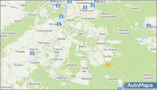 mapa Bieliny gmina Pionki, Bieliny gmina Pionki na mapie Targeo