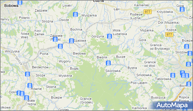 mapa Bieśnik gmina Łużna, Bieśnik gmina Łużna na mapie Targeo