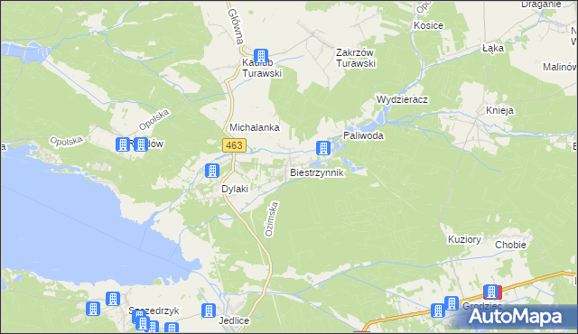 mapa Biestrzynnik, Biestrzynnik na mapie Targeo