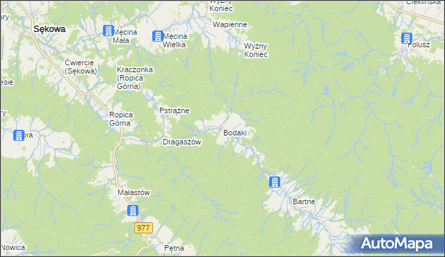 mapa Bodaki gmina Sękowa, Bodaki gmina Sękowa na mapie Targeo