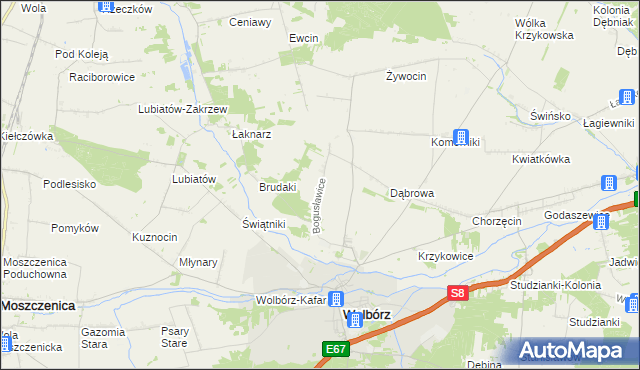 mapa Bogusławice gmina Wolbórz, Bogusławice gmina Wolbórz na mapie Targeo