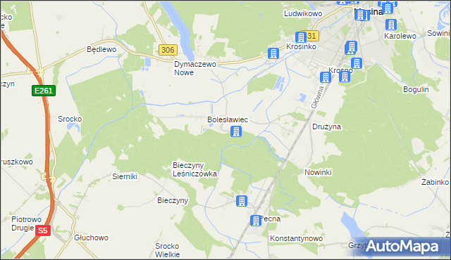 mapa Borkowice gmina Mosina, Borkowice gmina Mosina na mapie Targeo