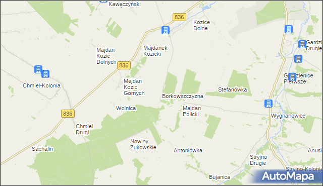 mapa Borkowszczyzna, Borkowszczyzna na mapie Targeo