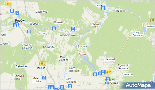 mapa Borowa gmina Miedźno, Borowa gmina Miedźno na mapie Targeo