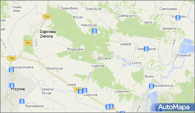 mapa Borowce gmina Dąbrowa Zielona, Borowce gmina Dąbrowa Zielona na mapie Targeo