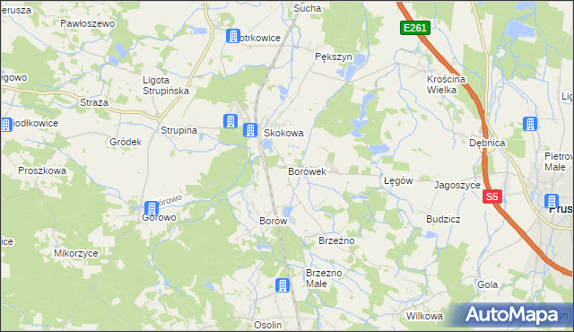 mapa Borówek gmina Prusice, Borówek gmina Prusice na mapie Targeo