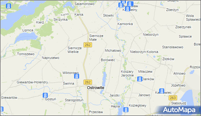 mapa Borówiec gmina Ostrowite, Borówiec gmina Ostrowite na mapie Targeo