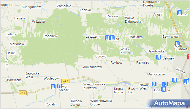 mapa Borowo gmina Lipsko, Borowo gmina Lipsko na mapie Targeo