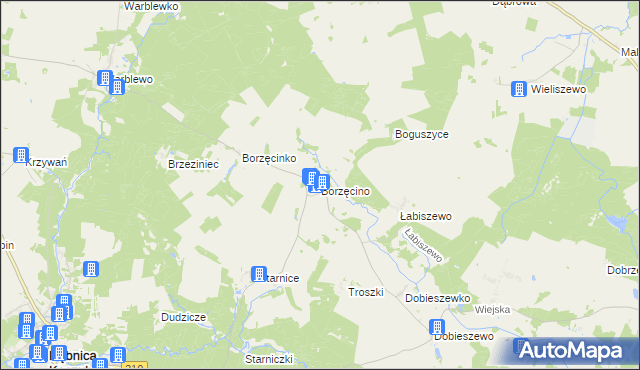 mapa Borzęcino gmina Dębnica Kaszubska, Borzęcino gmina Dębnica Kaszubska na mapie Targeo