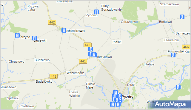 mapa Borzykowo gmina Kołaczkowo, Borzykowo gmina Kołaczkowo na mapie Targeo