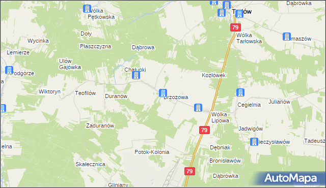 mapa Brzozowa gmina Tarłów, Brzozowa gmina Tarłów na mapie Targeo