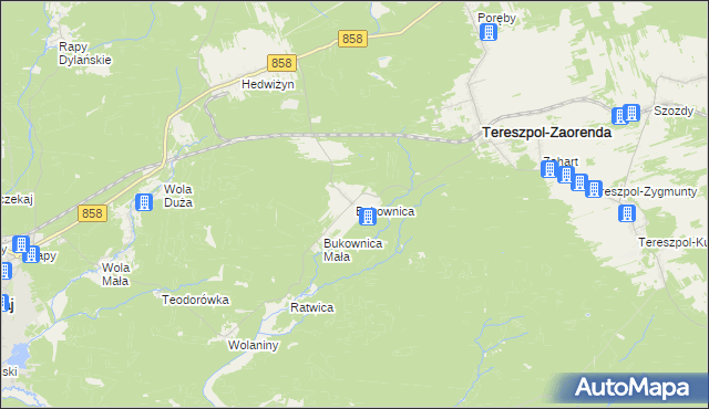 mapa Bukownica gmina Tereszpol, Bukownica gmina Tereszpol na mapie Targeo