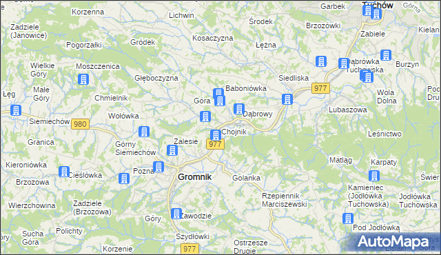 mapa Chojnik gmina Gromnik, Chojnik gmina Gromnik na mapie Targeo