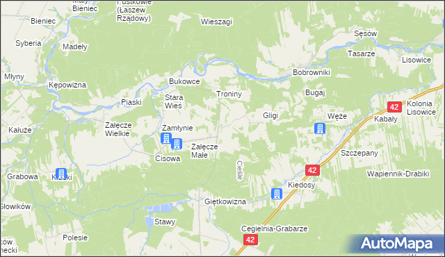 mapa Cieśle gmina Pątnów, Cieśle gmina Pątnów na mapie Targeo