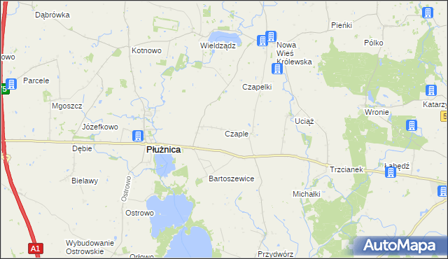 mapa Czaple gmina Płużnica, Czaple gmina Płużnica na mapie Targeo