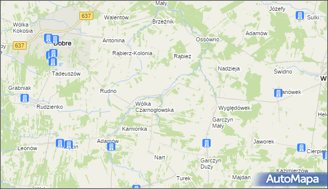 mapa Czarnogłów, Czarnogłów na mapie Targeo