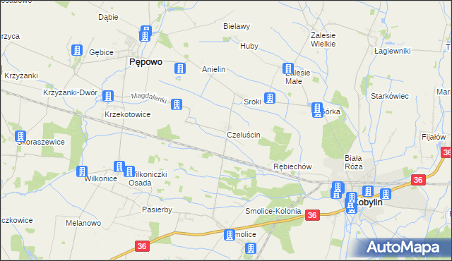 mapa Czeluścin gmina Pępowo, Czeluścin gmina Pępowo na mapie Targeo