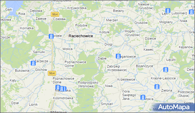 mapa Dąbie gmina Raciechowice, Dąbie gmina Raciechowice na mapie Targeo