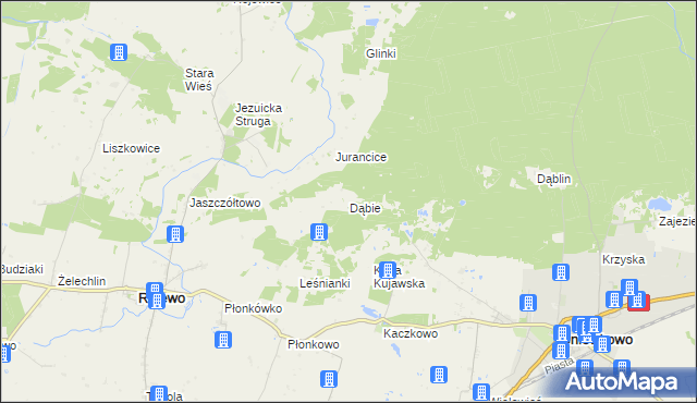 mapa Dąbie gmina Rojewo, Dąbie gmina Rojewo na mapie Targeo
