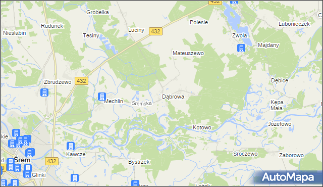 mapa Dąbrowa gmina Śrem, Dąbrowa gmina Śrem na mapie Targeo