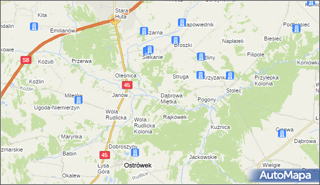 mapa Dąbrowa Miętka, Dąbrowa Miętka na mapie Targeo