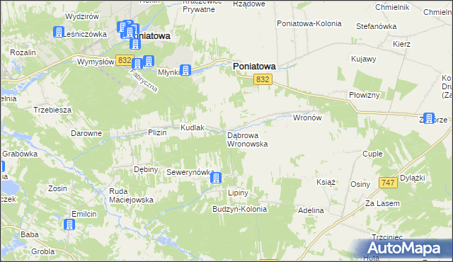 mapa Dąbrowa Wronowska, Dąbrowa Wronowska na mapie Targeo