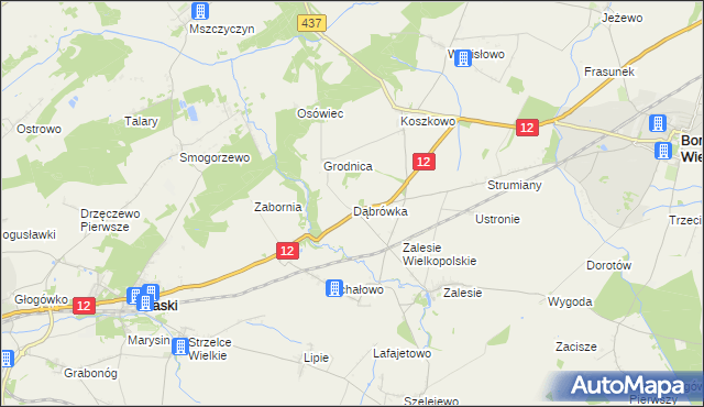 mapa Dąbrówka gmina Borek Wielkopolski, Dąbrówka gmina Borek Wielkopolski na mapie Targeo